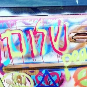 Meet your Posher, Nechama